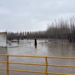 Crecida del río a su paso genera riesgo de inundaciones en La Bañeza
